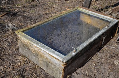 Yalıtılmış yatak, eski pencere çerçevelerinden oluşan sera. Korunmuş toprakta erken sebze yetiştirme. Çiftçilikte sebze filizleri yetişiyor..