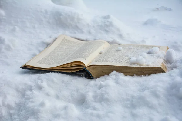 Открываем Старую Книгу Снегу Величественный Пейзаж Концепция Природы Образования Зимняя — стоковое фото