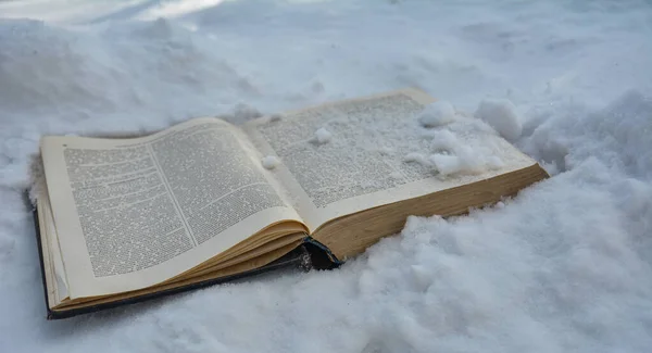 Открываем Старую Книгу Снегу Величественный Пейзаж Концепция Природы Образования Зимняя — стоковое фото