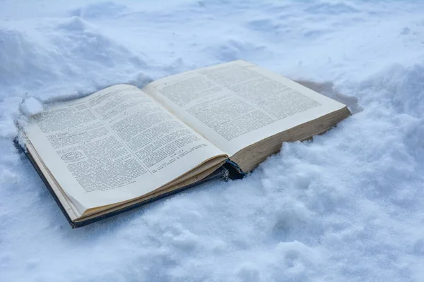Otwórz Starą Książkę Śniegu Majestatyczny Krajobraz Pojęcie Natury Edukacji Winter — Zdjęcie stockowe