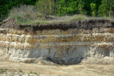 Boş yuvalar, kum tepelerindeki kuş yuvaları. Kırlangıç yuvalarının sayısız delikleri ya da kumlu yamaçlarda kırlangıçlar Yuvalar ve kırlangıçlar uçuşuyor .