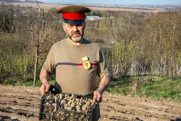 Homem Idoso Com Boné Militar Com Uma Caixa Batatas Campo — Fotografia de Stock