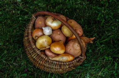 Taze meyve ve sebzeler sepette. Büyük bir sepet sebze. Patates, domates, soğan, lahana, kırmızı biber, kabak, patlıcan. Beyaz arkaplanda izole et .