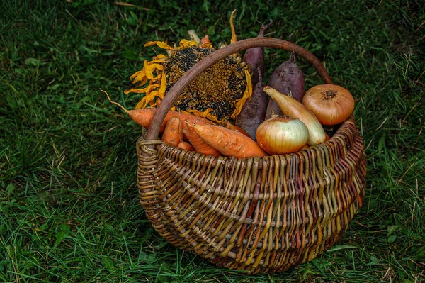 Frutas Verduras Frescas Canasta Gran Canasta Verduras Patatas Tomates Cebollas —  Fotos de Stock