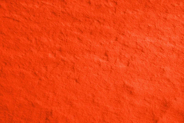 Grey Wall Cork Chrząszcz Tekstury Tła Teksturą Tynku Jest Kora — Zdjęcie stockowe