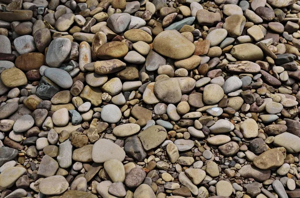 ビーチから色鮮やかで滑らかな小石が並びます — ストック写真