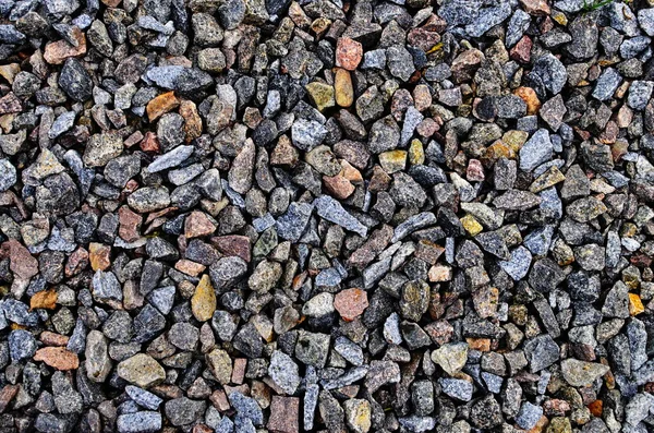 Sortierte Bunte Und Glatte Kieselsteine Vom Strand Kieselsteinpflaster Hintergrund — Stockfoto