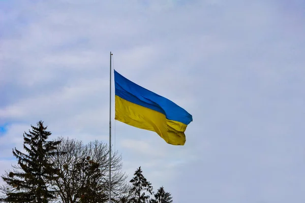 Ukraina Liput Fluttering Silkkilippu Ukrainan Ukrainan Virallinen Lippu Tuulessa Vastaan — kuvapankkivalokuva