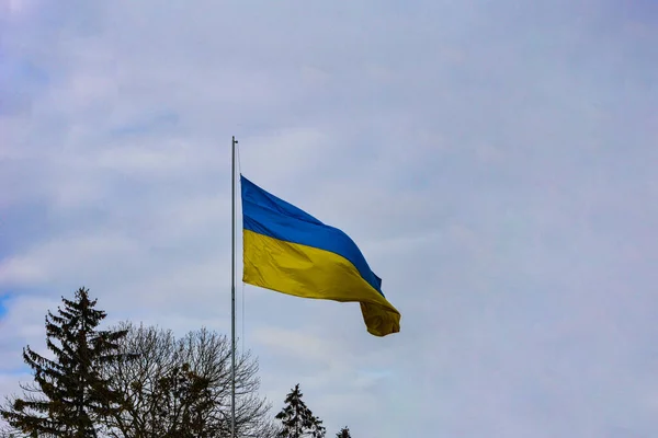 Drapeaux Ukraine Drapeau Soie Flottant Ukraine Drapeau Officiel Ukrainien Dans — Photo