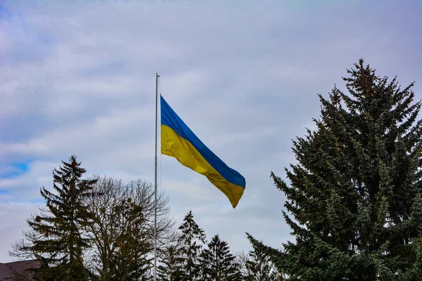 Banderas Ucrania Bandera Seda Ondulante Ucrania Bandera Oficial Ucraniana Viento —  Fotos de Stock