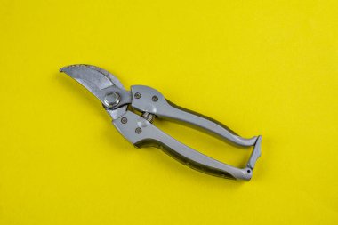 Beyaz arkaplanda izole edilmiş .secateurs üzerinde bahçe pruner secateurs aracı
