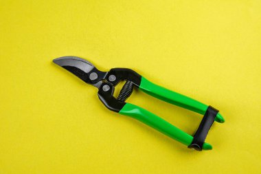 Beyaz arkaplanda izole edilmiş .secateurs üzerinde bahçe pruner secateurs aracı