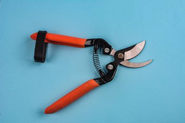 Beyaz arkaplanda izole edilmiş .secateurs üzerinde bahçe pruner secateurs aracı