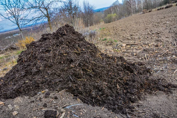 Tas Fumier Pour Fertiliser Champ High Tas Fumier Sur Farm — Photo