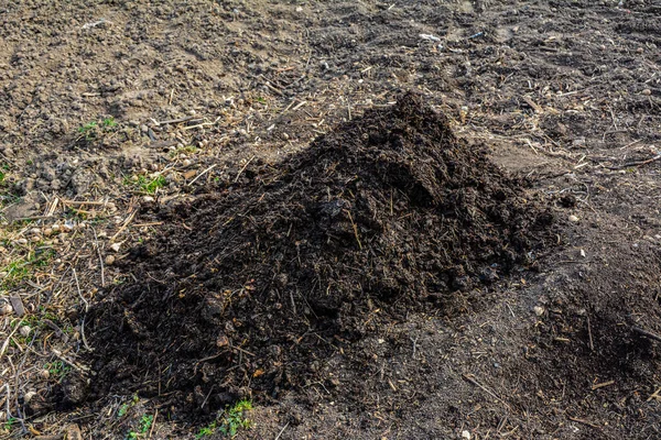 Uma Pilha Estrume Para Fertilizar Campo Alta Pilha Estrume Farm — Fotografia de Stock