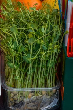 Bezelye, mikro şebeke, sağlıklı besin..