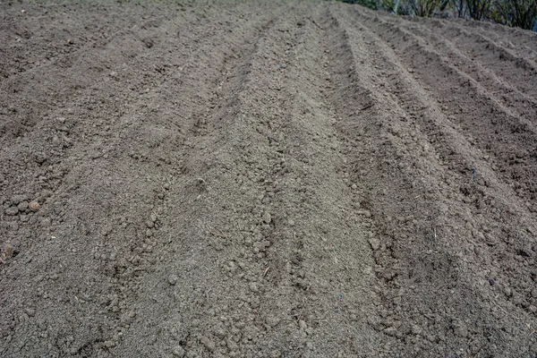 Furrows Plowed Field Springtime Furrows Pattern Plowed Land Prepared Planting — Stock Photo, Image