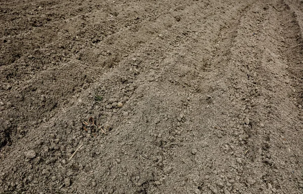 Furrows Plowed Field Springtime Furrows Pattern Plowed Land Prepared Planting — Stock Photo, Image