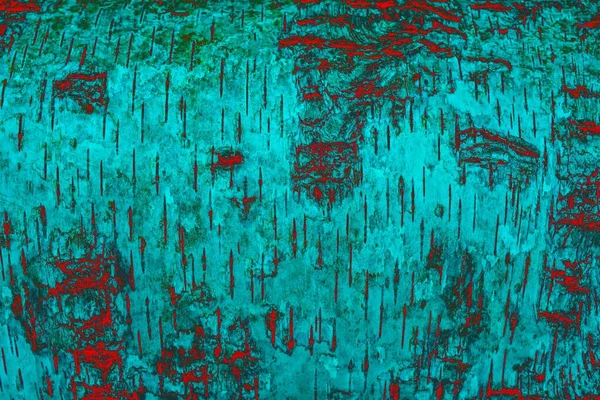 Beyaz huş ağacının üzerinde siyah huş ağacının şeritleri ve ahşap huş ağacı kabuğu dokusu ile huş ağacının huş ağacının huş ağacının tek renk görüntüsü..