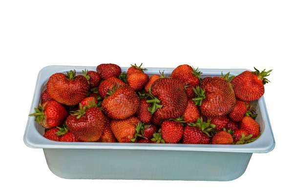 Strawberry Red Strawberries Plastic Trays Sale Store Market Background Closeup — Stock fotografie