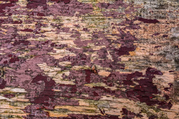 带剥皮红漆木板的锈蚀老旧风化木背景 — 图库照片
