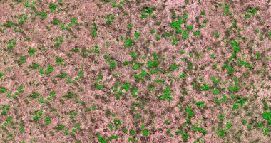 Beton eski duvar yüzeyi. Rustik, beton duvar dokusunu incelemiş. Lekeli ve çamurlu eski beton duvar, doku arka planı.