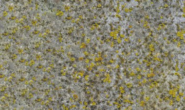 Beton eski duvar yüzeyi. Rustik, beton duvar dokusunu incelemiş. Lekeli ve çamurlu eski beton duvar, doku arka planı.