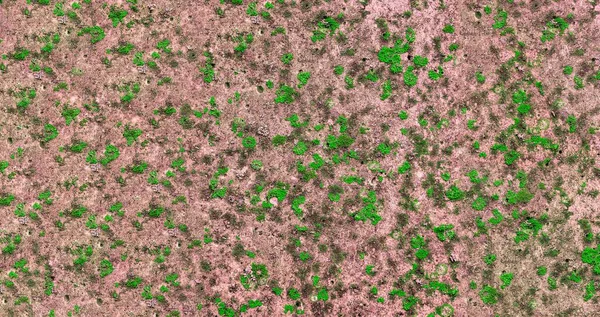 Beton eski duvar yüzeyi. Rustik, beton duvar dokusunu incelemiş. Lekeli ve çamurlu eski beton duvar, doku arka planı.