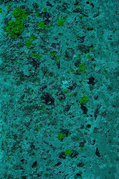 Beton eski duvar yüzeyi. Rustik, beton duvar dokusunu incelemiş. Lekeli ve çamurlu eski beton duvar, doku arka planı.