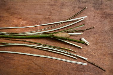 Söğüt çubuklarını sepet ve sanat ürünleri dokumak için ince şeritlere ayırma işlemi. Asmanın çubuklarını kırmak için tahta sütunlar..