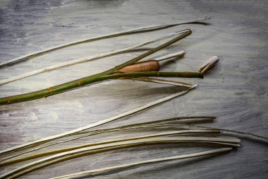 Söğüt çubuklarını sepet ve sanat ürünleri dokumak için ince şeritlere ayırma işlemi. Asmanın çubuklarını kırmak için tahta sütunlar..