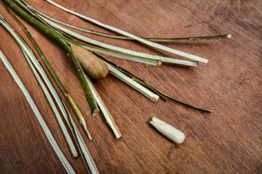 Söğüt çubuklarını sepet ve sanat ürünleri dokumak için ince şeritlere ayırma işlemi. Asmanın çubuklarını kırmak için tahta sütunlar..