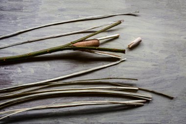 Söğüt çubuklarını sepet ve sanat ürünleri dokumak için ince şeritlere ayırma işlemi. Asmanın çubuklarını kırmak için tahta sütunlar..