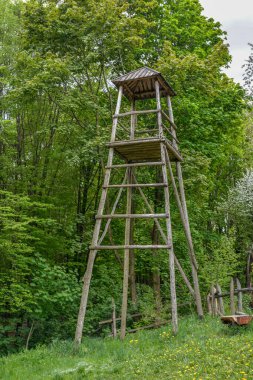 Ormandaki gözetleme kulesinin alçak açılı görüntüsü. Doğa parkında yürüyüş yapıyor..
