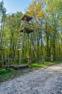 Ormandaki gözetleme kulesinin alçak açılı görüntüsü. Doğa parkında yürüyüş yapıyor..