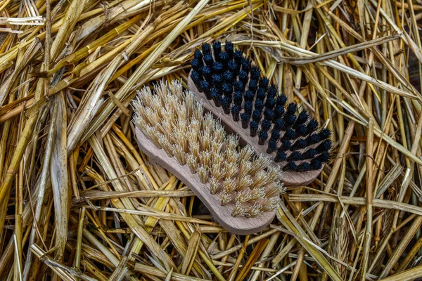 Spazzola Mano Legno Vestiti Brushes Pulizia Manuale Vestiti Scarpe — Foto Stock