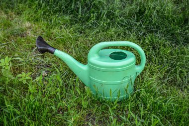 Bahçe bitkilerini sulamak için büyük yeşil bir plastik sulama kutusu yeşil bir çimenlikte duruyor. Yazın bahçıvanlık. W Plastik sulama kabı yabani kekikler arasında yeşillik üzerinde.