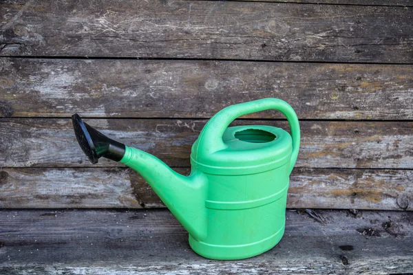 A large green plastic watering can for watering garden plants stands on a green lawn. Gardening in summer. W Plastic watering pot on greenyard between wild-thymes.
