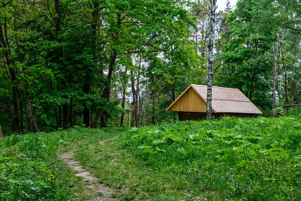 Wood House Forest Old Wooden House Middle Forest Old Wooden — Stok Foto