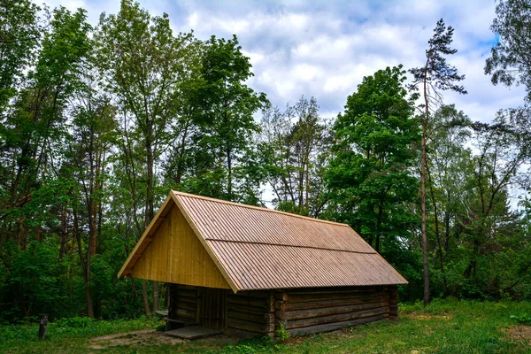 Wood House Forest Old Wooden House Middle Forest Old Wooden — Fotografia de Stock