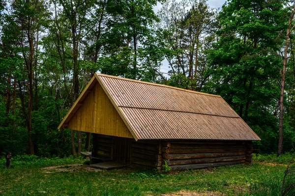 Ξύλινο Σπίτι Στο Δάσος Παλιό Ξύλινο Σπίτι Στη Μέση Του — Φωτογραφία Αρχείου