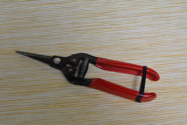 Budama makası. Kırmızı bahçe kesicileri. Kırmızı kabza budama makası..