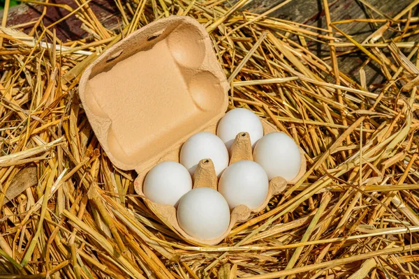 Куриные Яйца Лотке Сено Крупным Планом Яйца Бумажных Подносах Столе — стоковое фото
