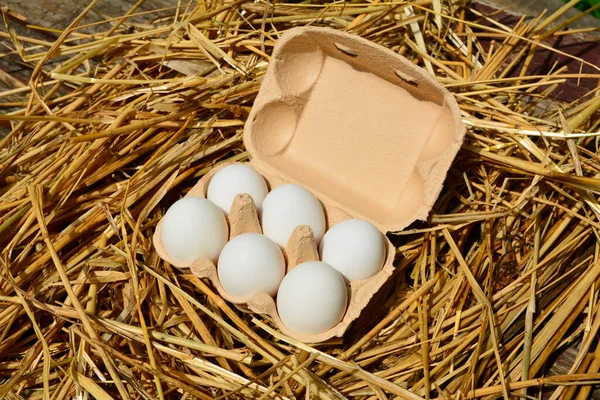 Chicken Eggs Tray Hay Closeup Eggs Paper Trays Table Close — ストック写真