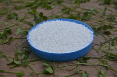 Pellets of ammonium nitrate as background, top view. Mineral fertilizer .Could be a natural chemical extract or product of industrial chemistry.