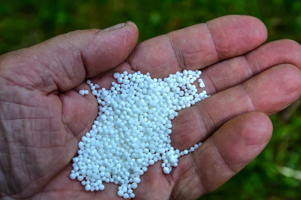 Nitrogen Fertilizers Urea Fertilizer Farmer Hand Pellets Ammonium Nitrate Background — Zdjęcie stockowe