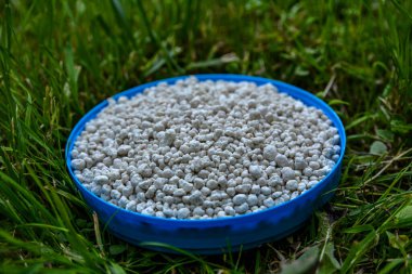 Close up of mineral fertilizer granules.chemical granulated fertilizer closeup.complex fertiliser granules on dark soil background.