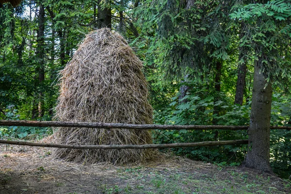 Sheaves of hay at the meadow in the middle of the mountain countryside .A pile of straw is beautifully laid outside the garden house.