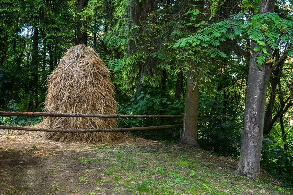 Sheaves Hay Meadow Middle Mountain Countryside Pile Straw Beautifully Laid — Foto Stock