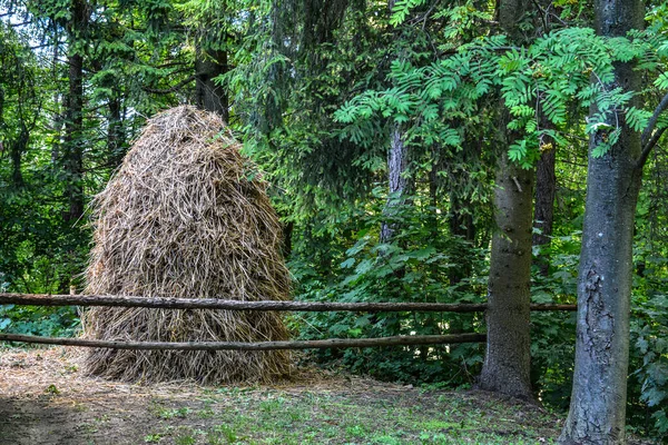 Sheaves Hay Meadow Middle Mountain Countryside Pile Straw Beautifully Laid — Foto Stock